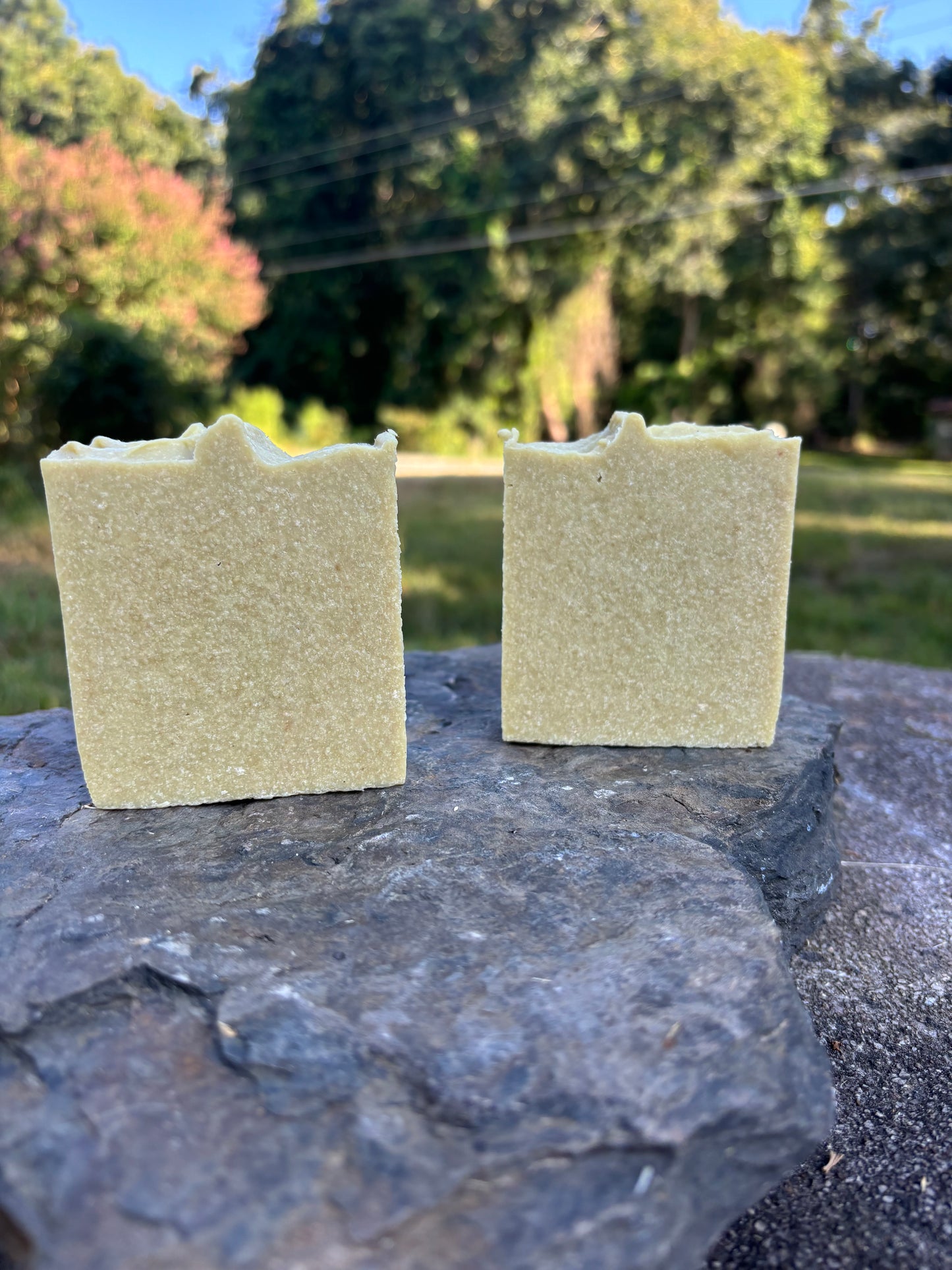 Avocado Sea Salt Soap