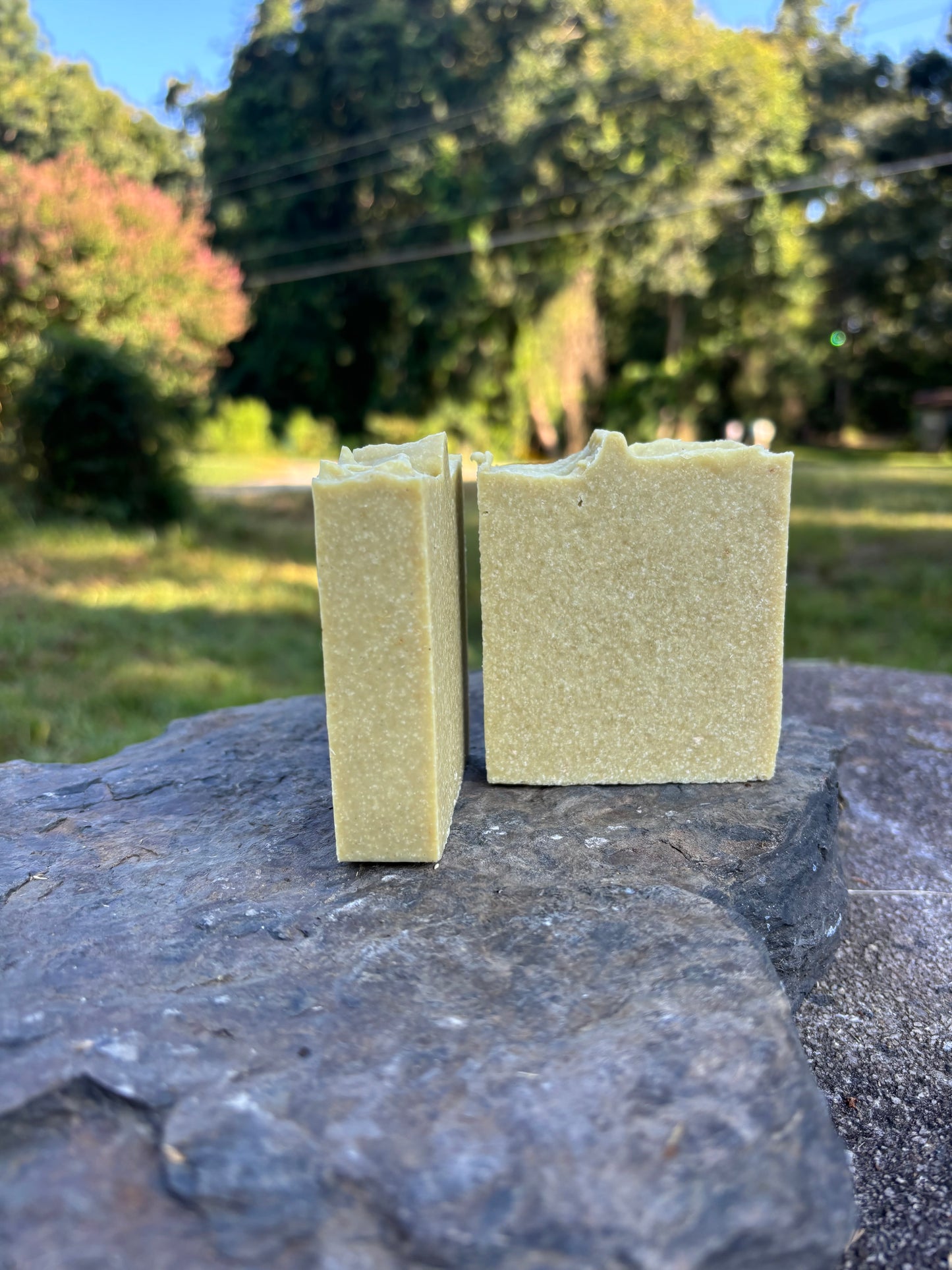 Avocado Sea Salt Soap